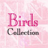 Click for our Birds Collection