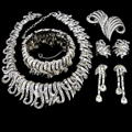 Click here for big picture, full description, patents, ads and references for this item