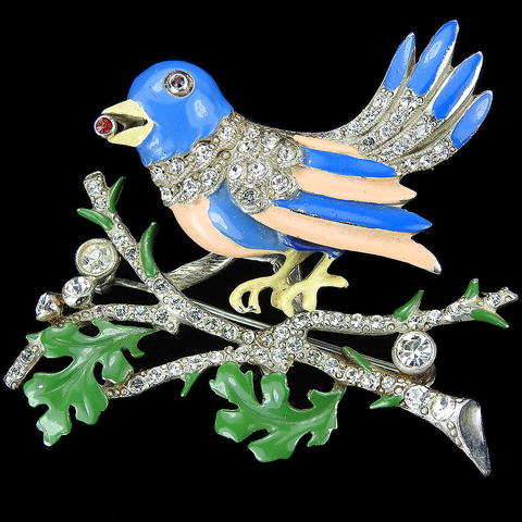Staret Pave and Enamel Trembler Bird on a Branch Eating a Seed Pin